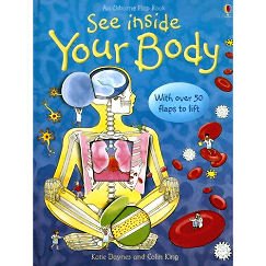 EDC Publishing/Usborne / See Inside Your Body