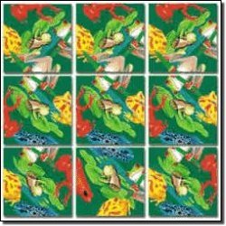 b. dazzle / Frogs Scramble Squares® Puzzle